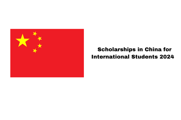 Scholarships in China